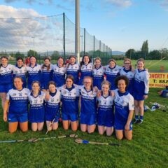 Camogie Under 15 Championship