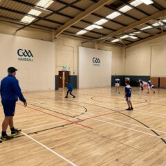 GAA Handball