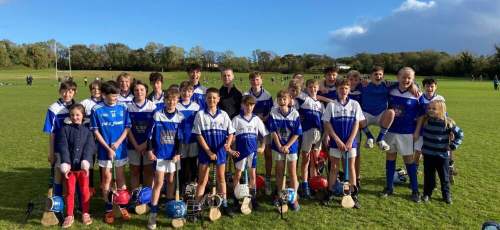 Under 13 Hurling Division 3 Runners Up