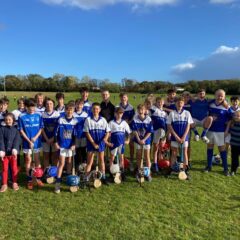 Under 13 Hurling Division 3 Runners Up